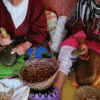 L’huile d’argan – l’or liquide du Maroc pour la santé, la beauté et la cuisine